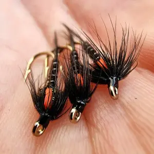 Black Cruncher/ Red Cheeks